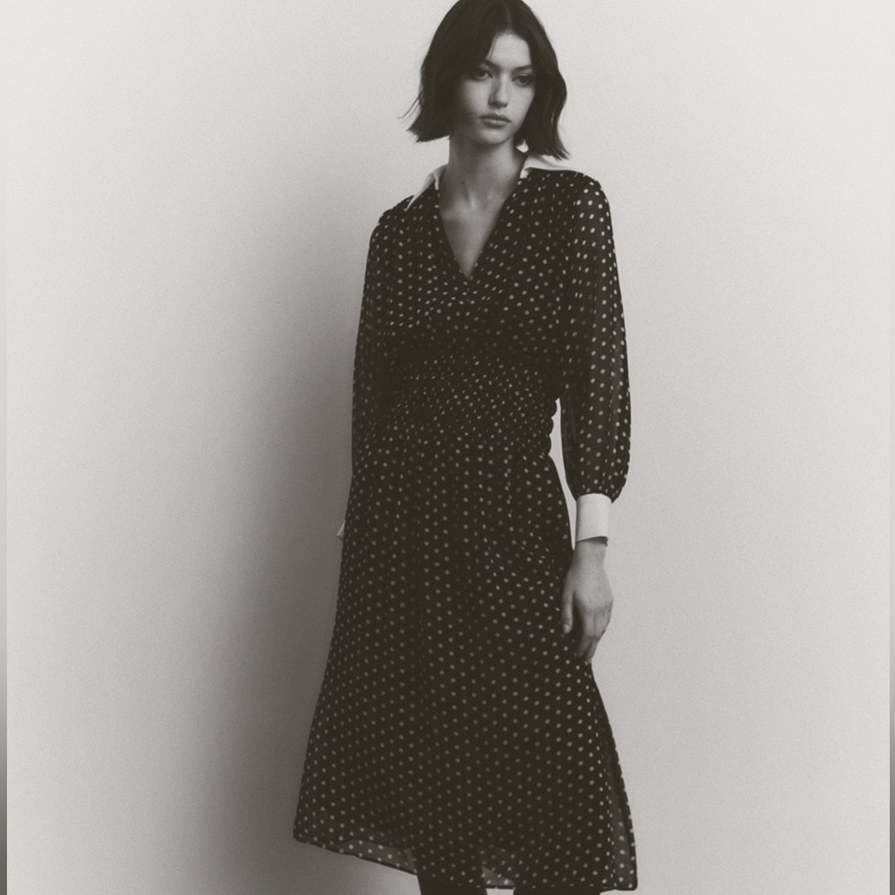 Elegant Black and White Polka Dot Dress - Picture 6 of 11